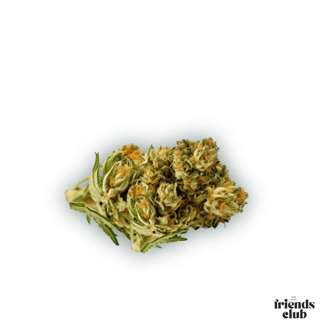 Flori PHC Plutonium 25% - hhcfriends