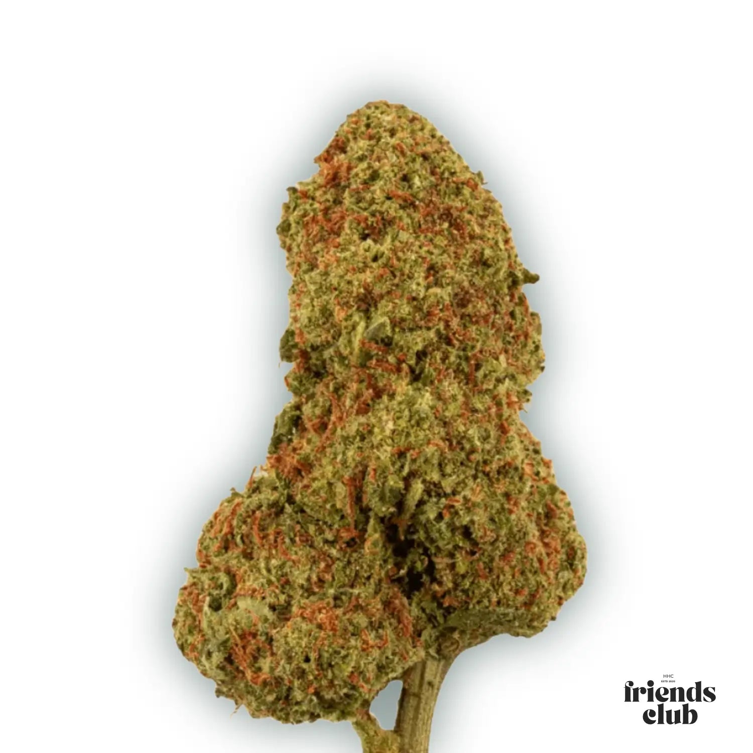 PHCP Flower Candy Kush - hhcfriends