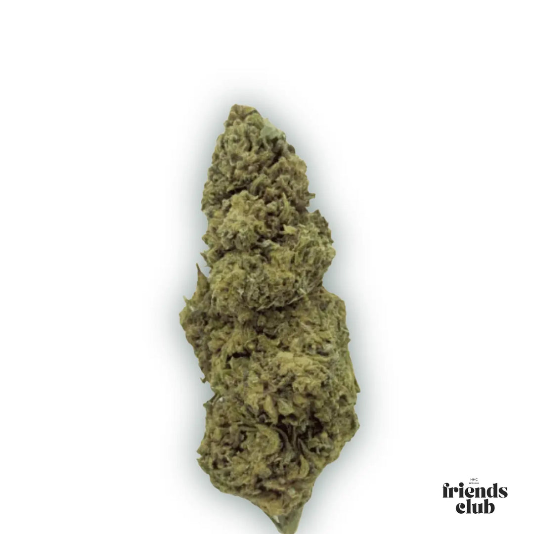 PHC Flori Cannatonic - hhcfriends