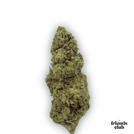 PHC Flori Cannatonic - hhcfriends