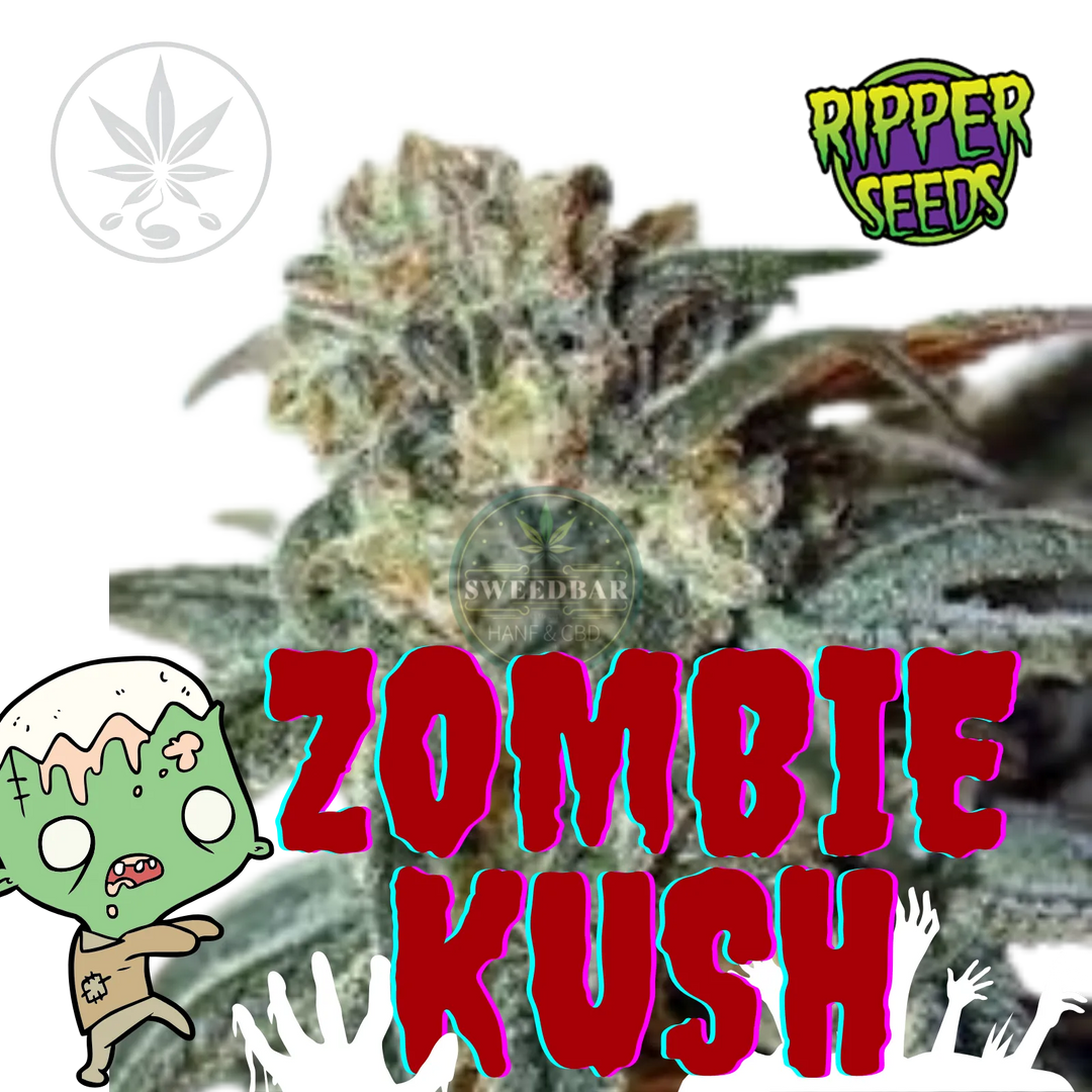 Butași de canabis Zombie Kush