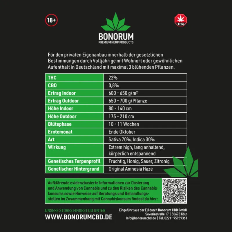 Semințe Amnesia Haze Original THC 🌱