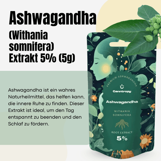 Set Somn Profund-Smagro GmbH