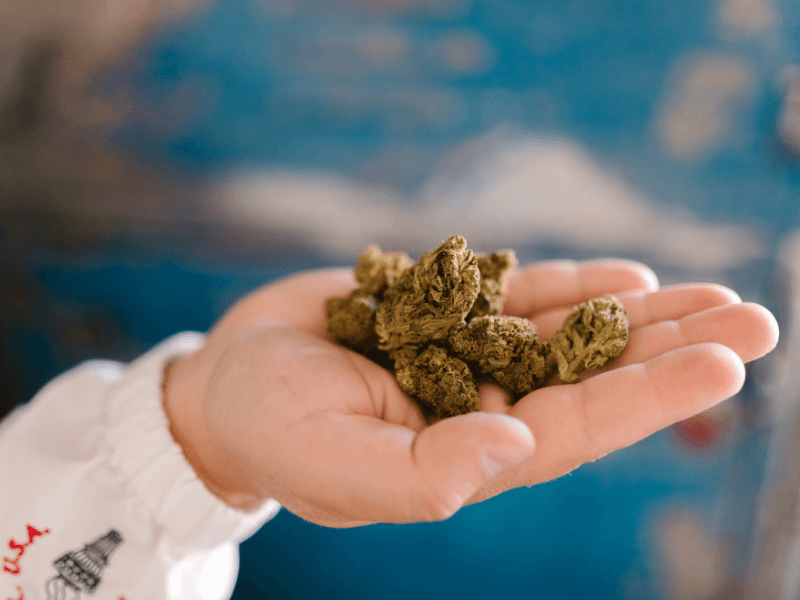 10-OH-HHC Flowers from the capital