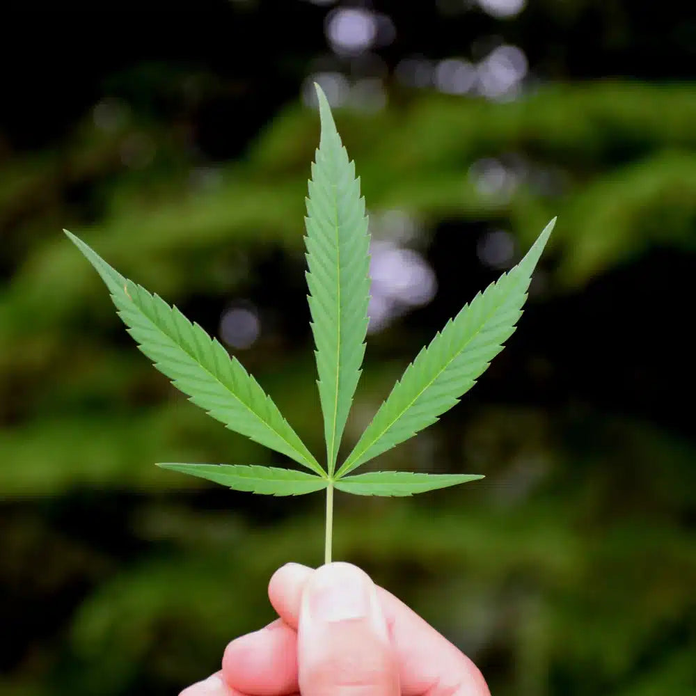 Acheter des produits Cannabis HHC en ligne