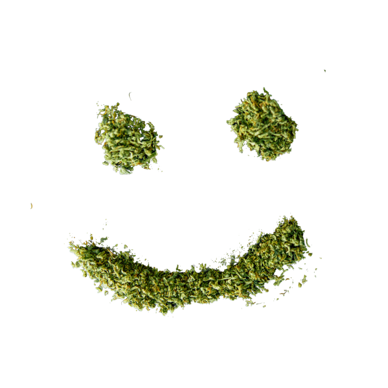 smiley zâmbitor din flori HHC