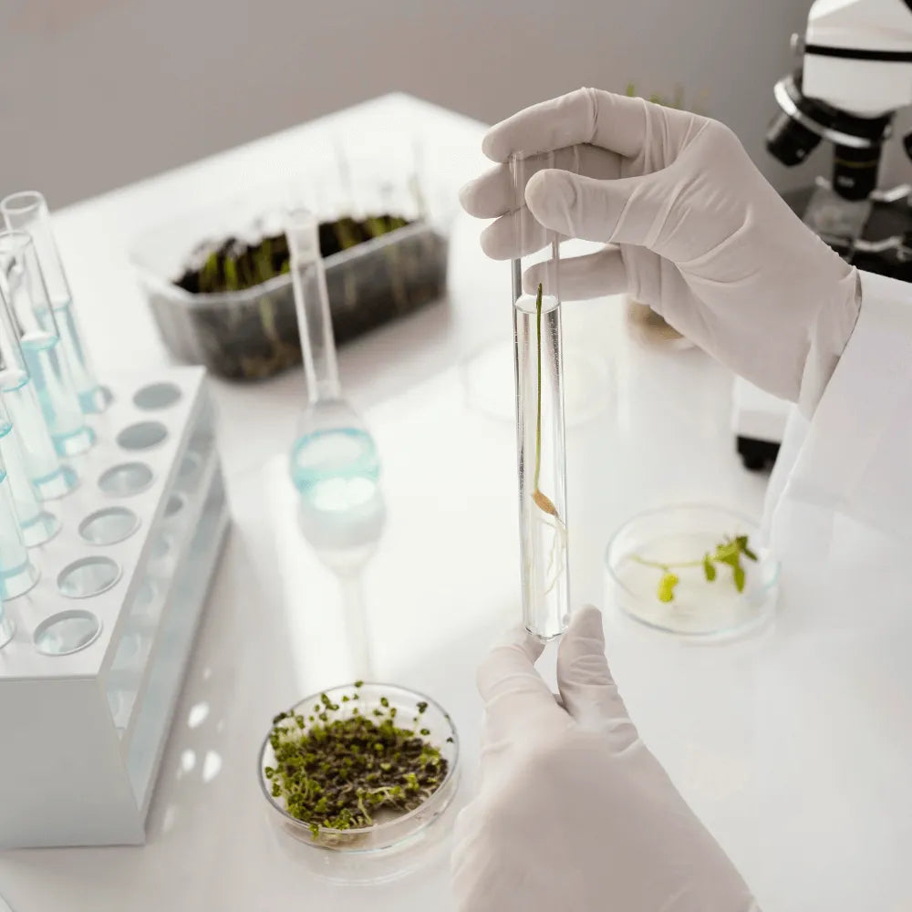 Measuring THC Content (Analysis)