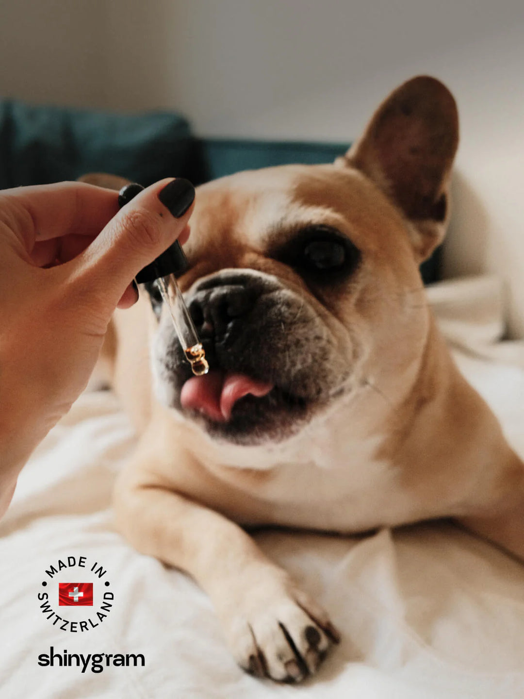 Ulei CBD pentru câini pentru calmare