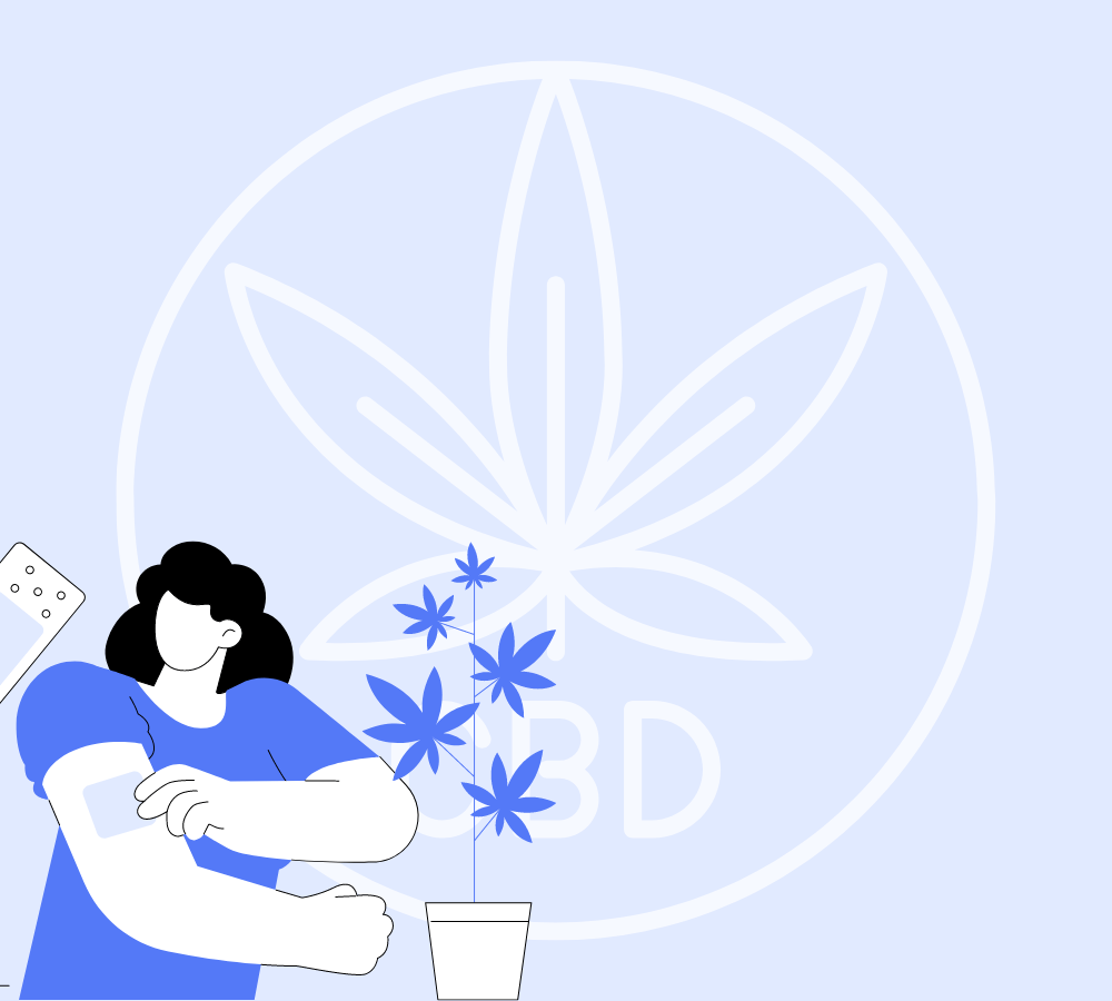 Cumpără plasture CBD, aplicare ușoară pentru ameliorarea durerii.