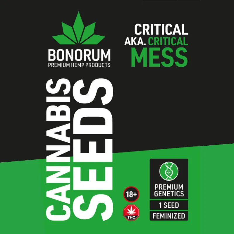 Critical aka Critical Mess Semințe THC 🌱