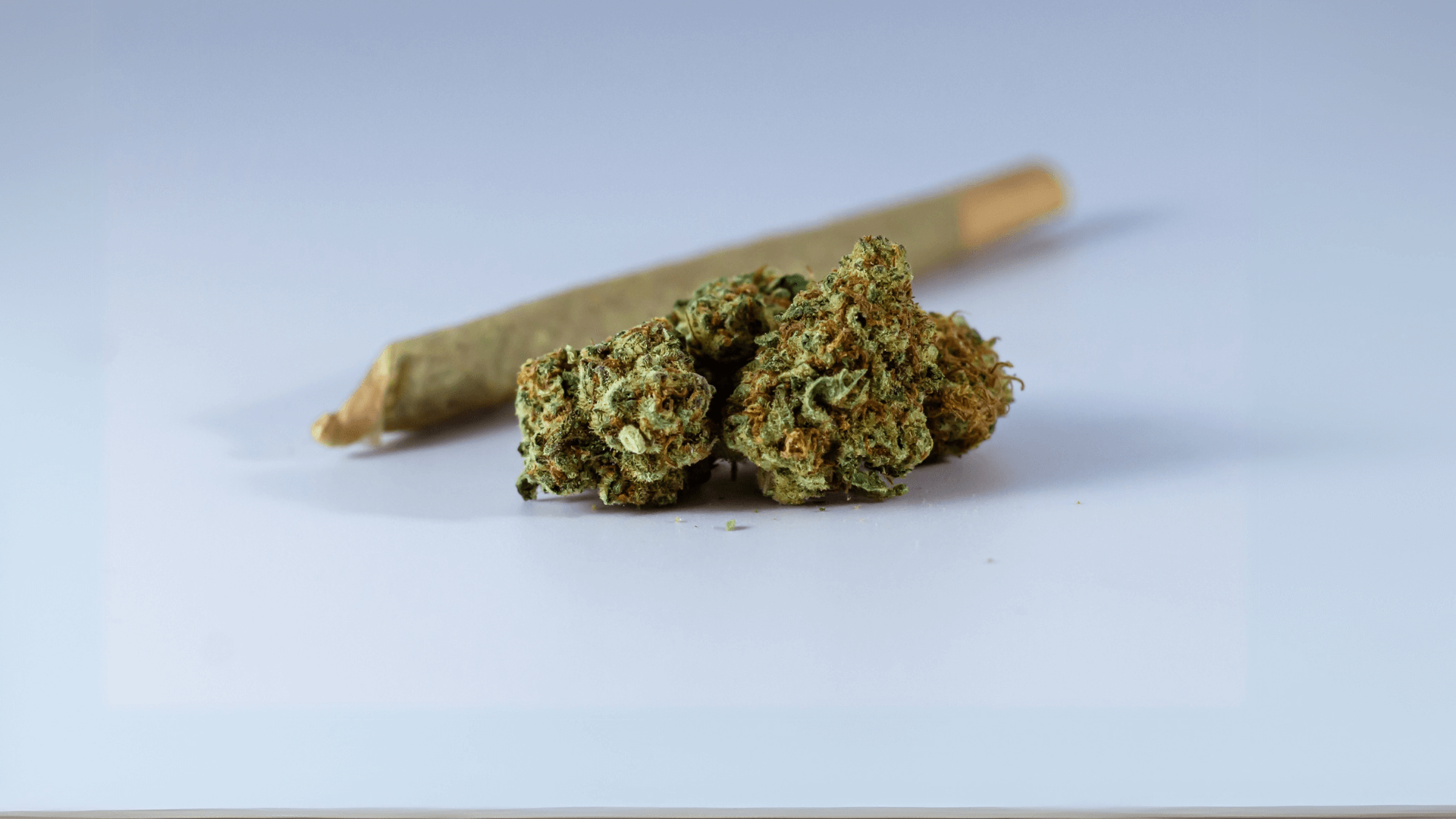 Simptomele consumatorilor cronici de canabis