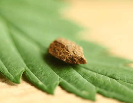 Hașiș HHC legal de cumpărat în Bayern