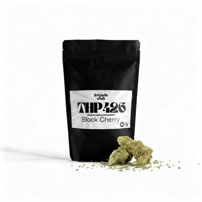 THP426 Flori Negru cherry