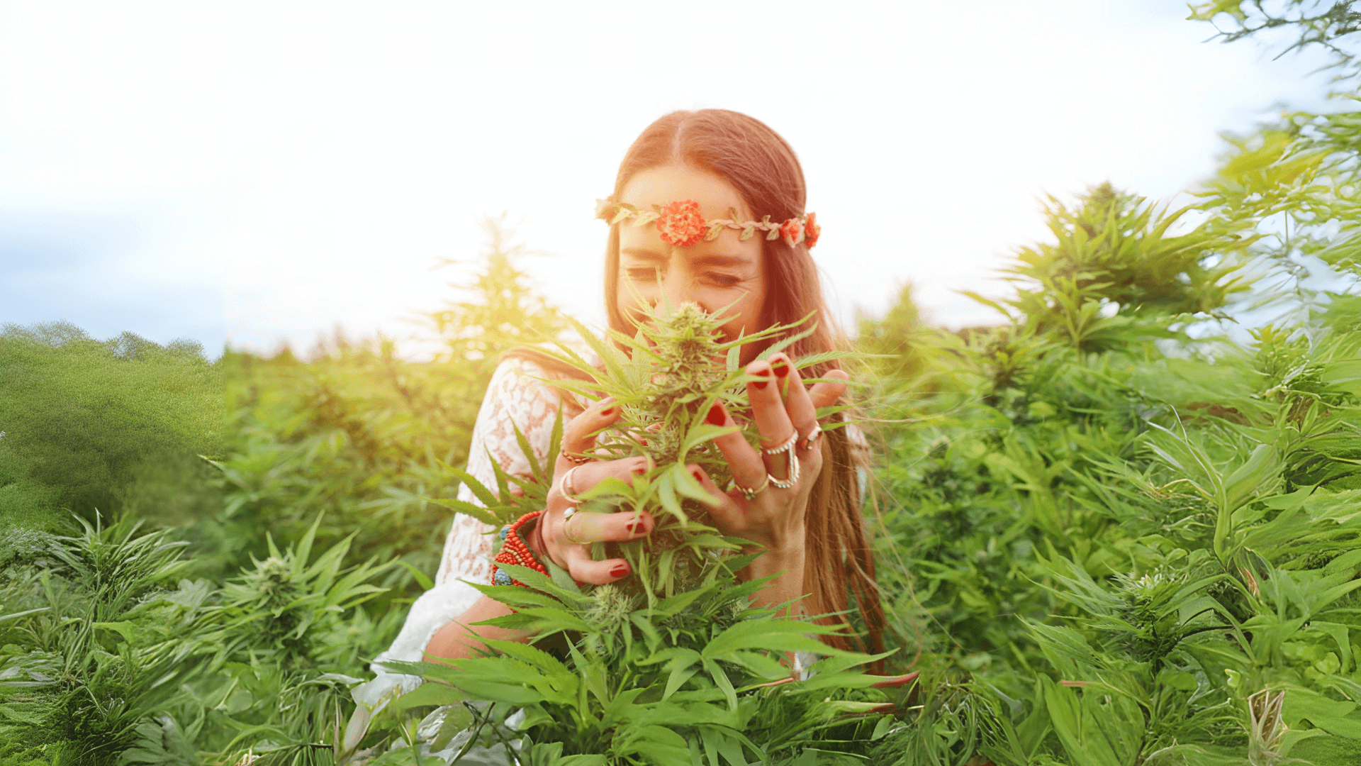 HHCFriends Sativa Indica AK47