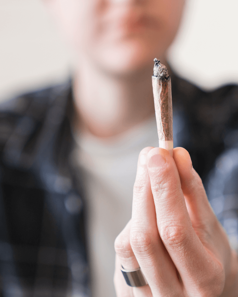 Care este efectul 10-OH-HHCP?