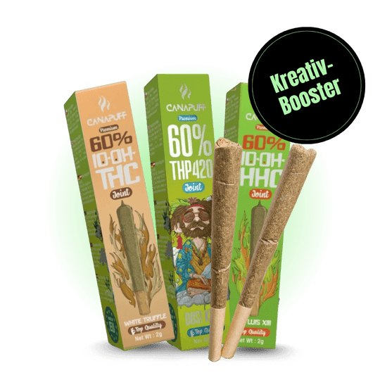 Set creativ-booster Smagro GmbH