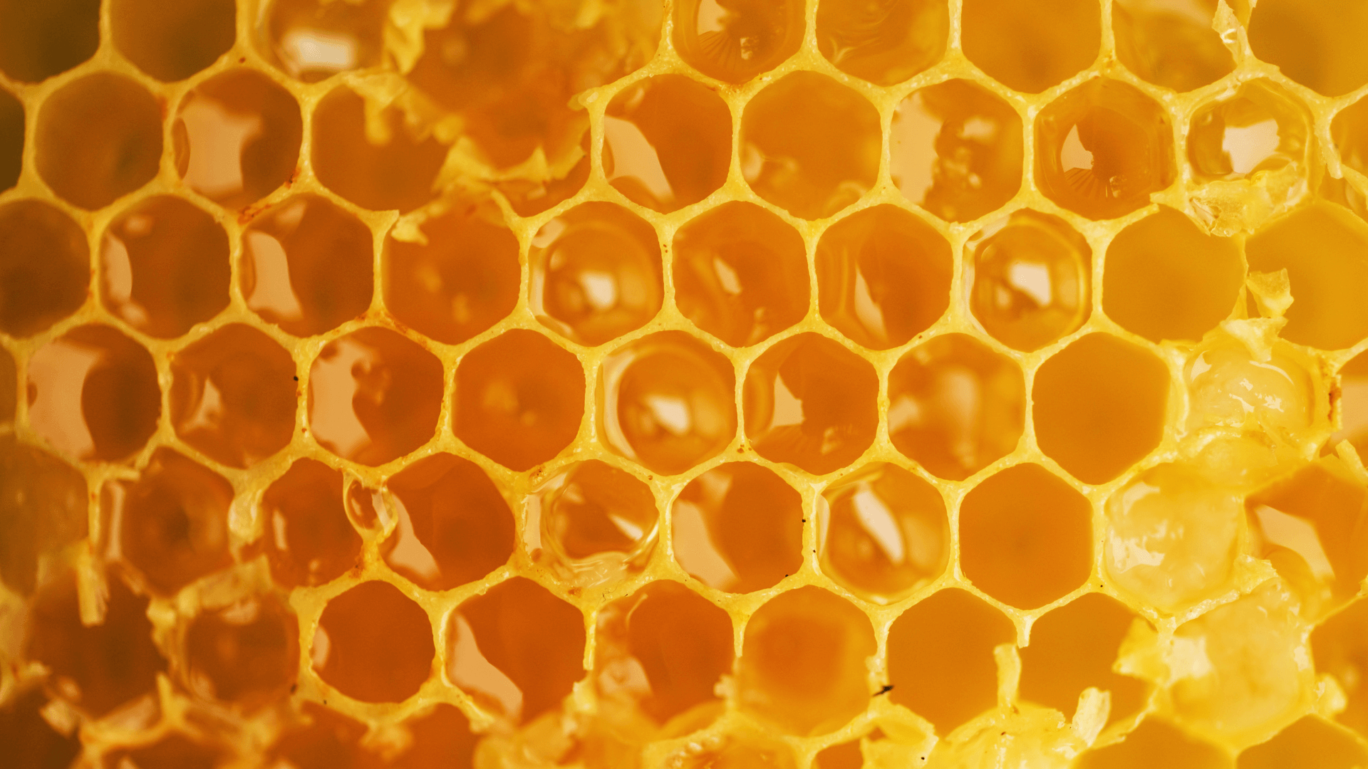 Miere magică din Nepal