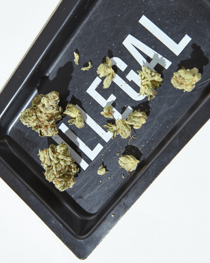 Avantajele Tavii de rulat